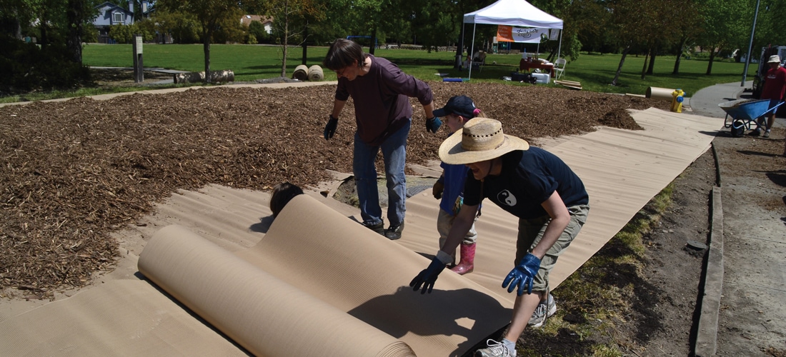 Water Conservation Programs Daily Acts