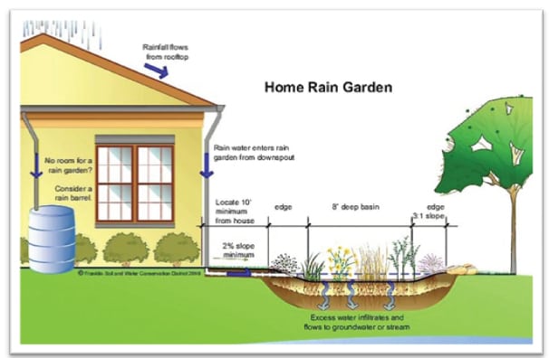 Rain Gardens 101 - Daily Acts