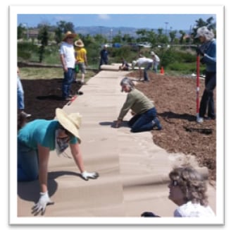 sheetmulching-step4