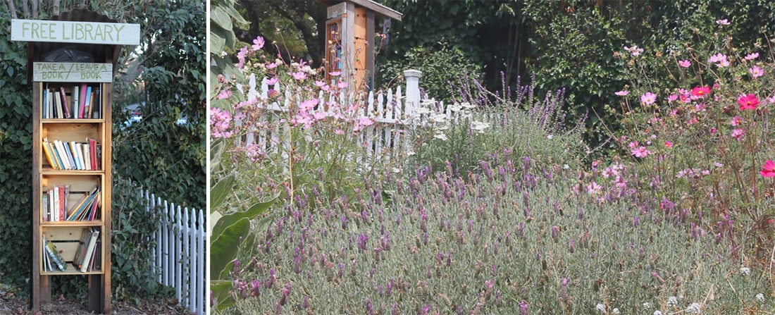 carl-library-flowers