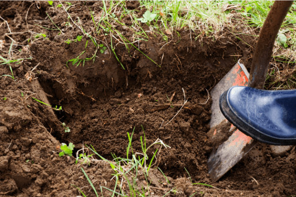 digging soil