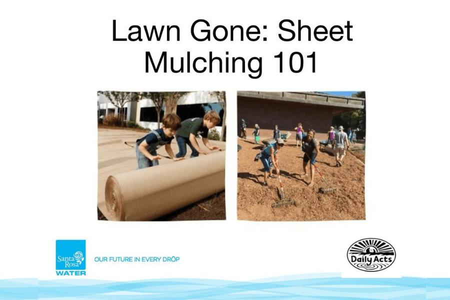 santa-rosa-water-lawn-gone-sheet-mulching-101-daily-acts