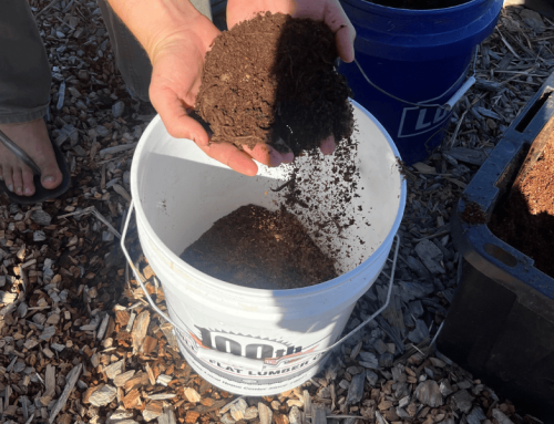 Food Scraps for the Future – Vermicompost Event