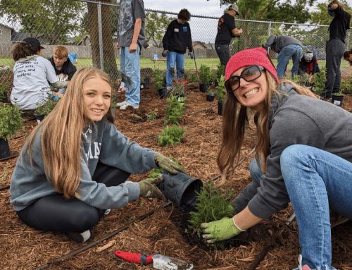 Miwok Valley Charter School Climate Resilient Garden Transformation