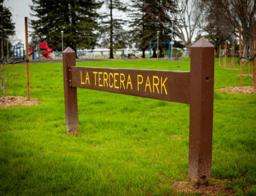 La Tercera Park Landscape Transformation