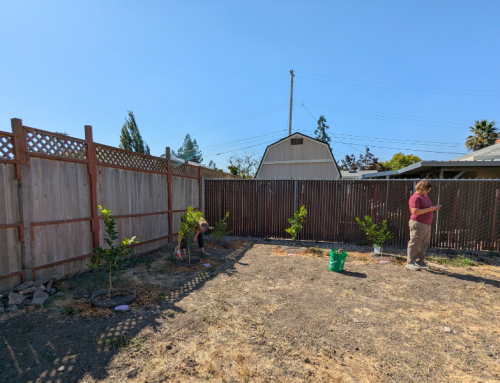 LRP Laundry-to-Landscape Greywater Residential Installation Example #1