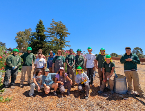 Mustang Acres Laundry-to-Landscape Greywater Installation