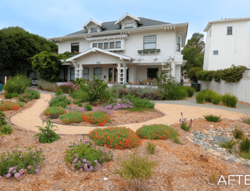 LRP Martin Farm HOA Landscape Transformation