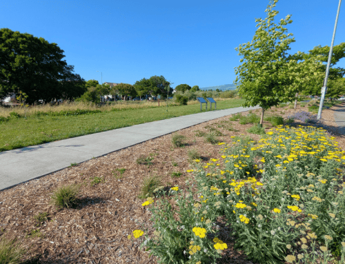 Sunrise Park