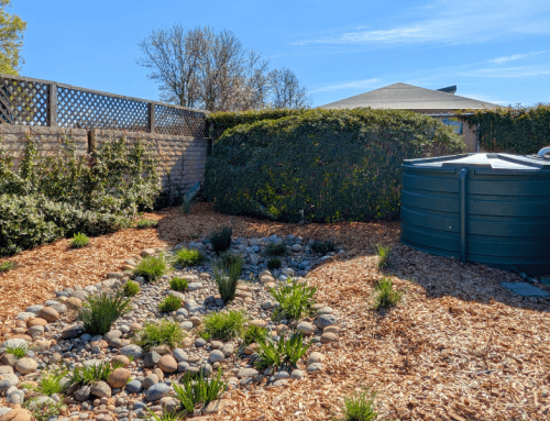 Tahola Lane – Pocket Park Transformation