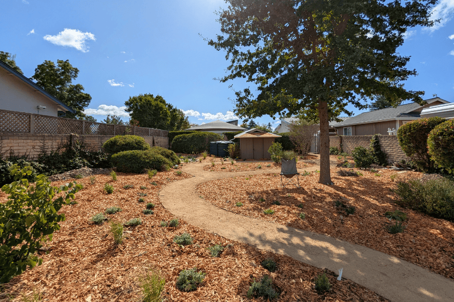 Tahola Final Planting – Path