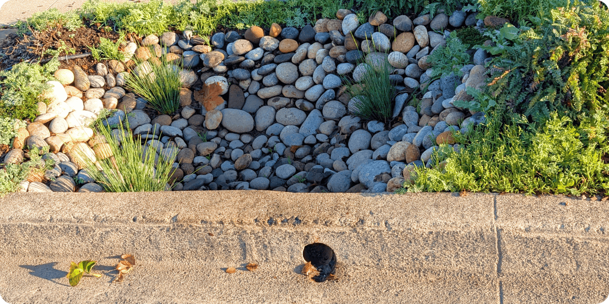 Curb Cut header photo