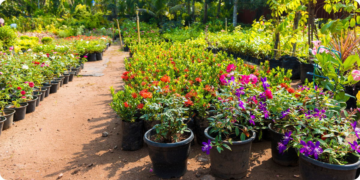 Plant Selection Header