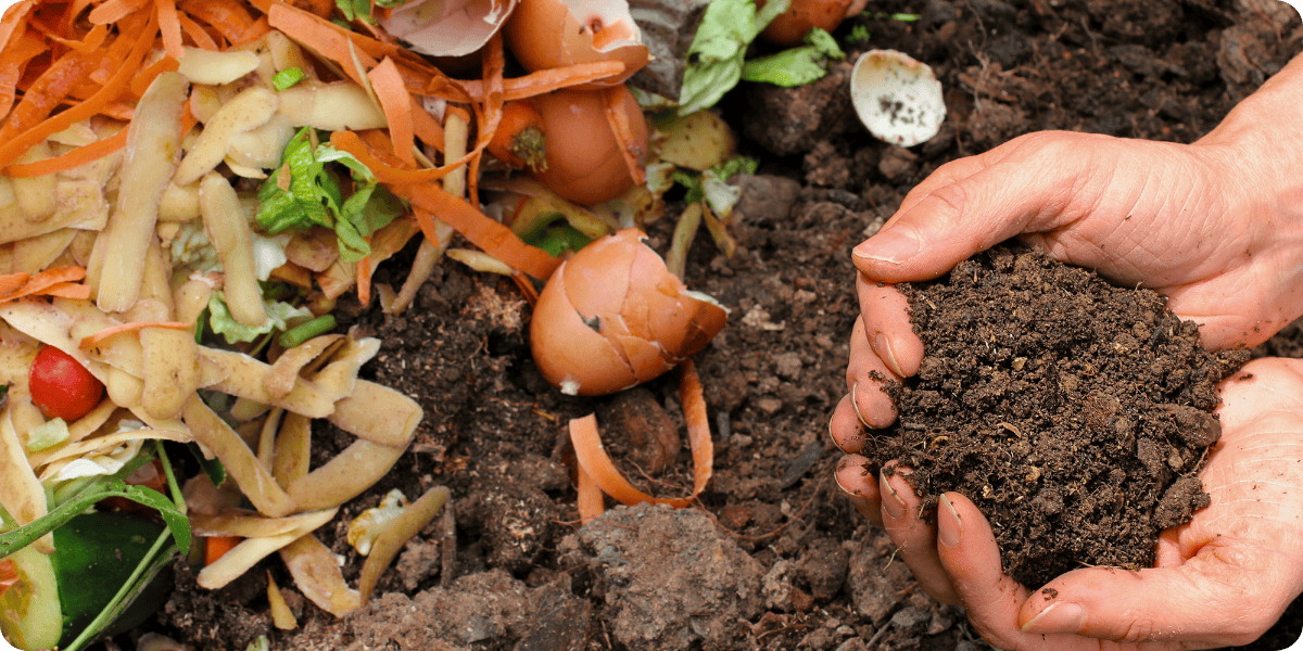Soil Health and Composting