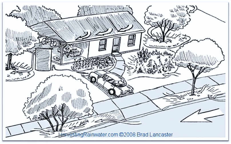 Harvesting Rainwater illustration