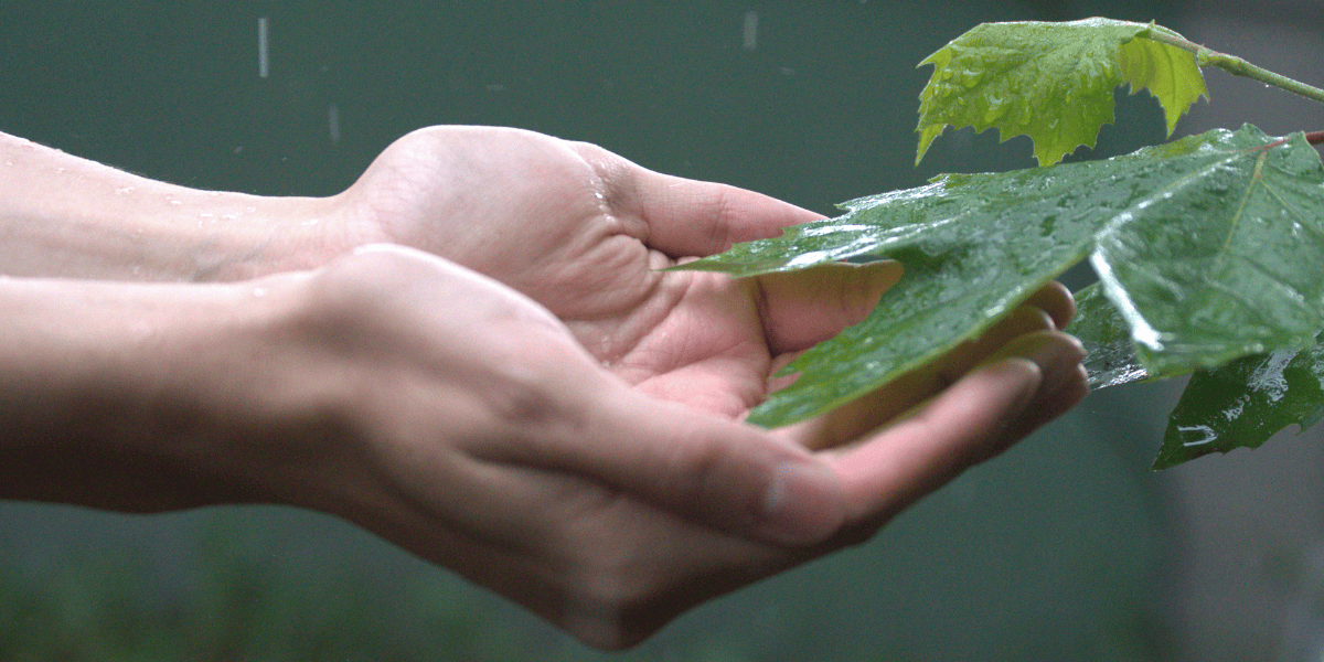 Rainwater Harvesting Header