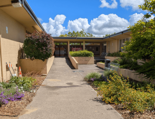 Petaluma City Hall Landscape Transformation