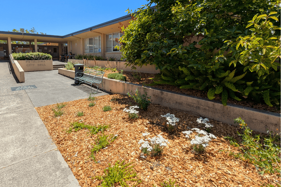 Petaluma City Hall Entrance