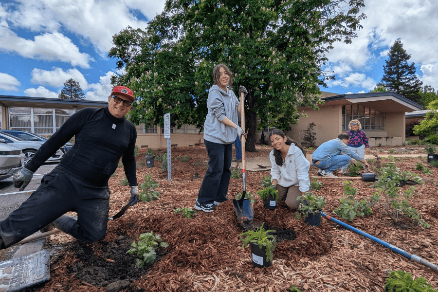 Petaluma City Hall Volunteers